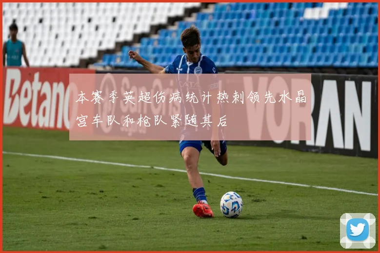 本赛季英超伤病统计热刺领先水晶宫车队和枪队紧随其后