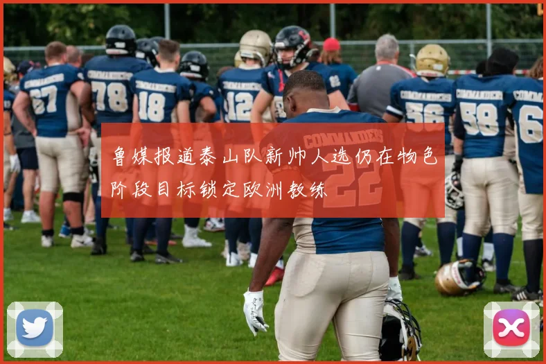 鲁媒报道泰山队新帅人选仍在物色阶段目标锁定欧洲教练